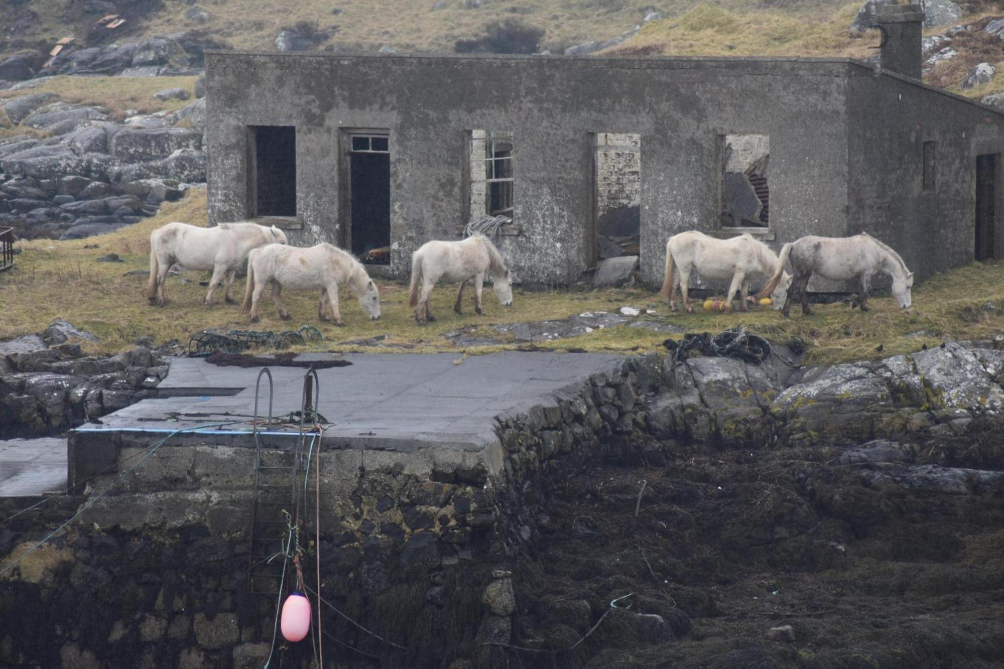 Вілла Glamping Pod For 2 Pod Beag Na Haun Eriskay Екстер'єр фото