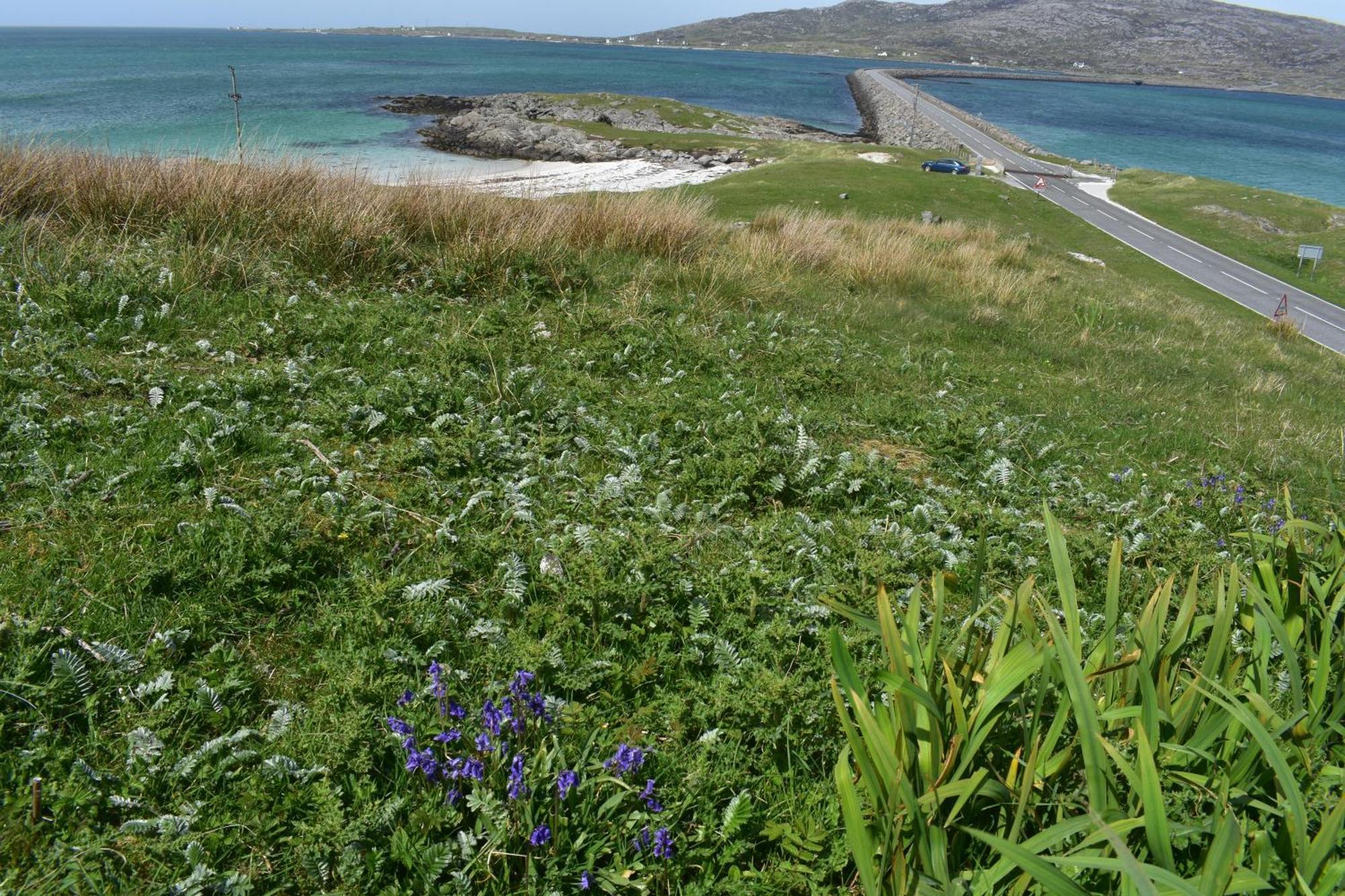 Вілла Glamping Pod For 2 Pod Beag Na Haun Eriskay Екстер'єр фото